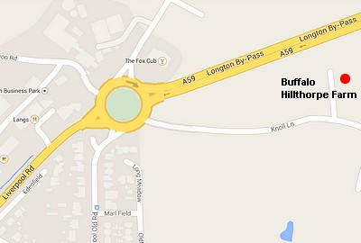 map to Buffalo Leather
