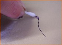 How To Remove Pen Ink Biro Or Small, Pen Mark On Leather